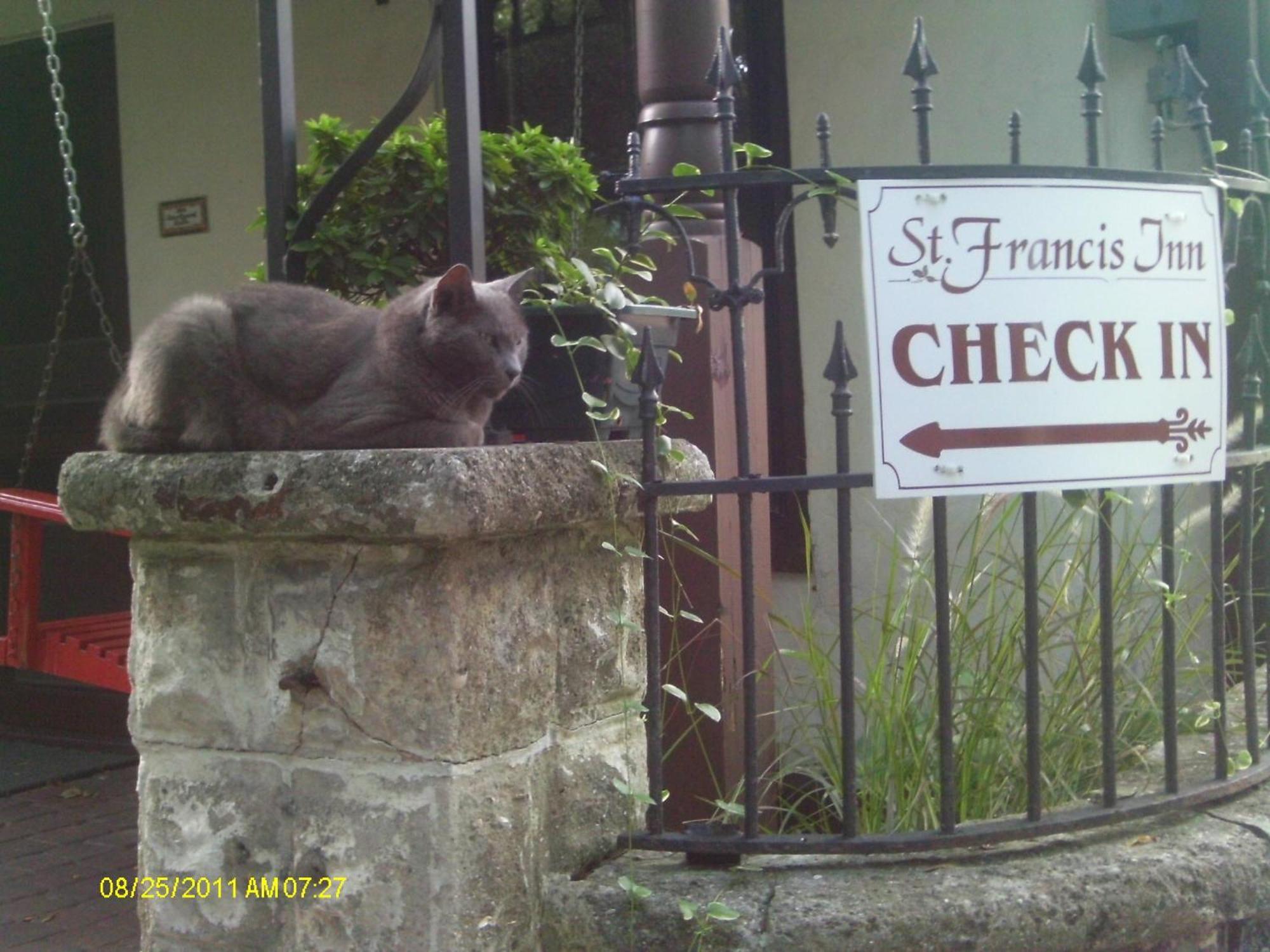 St. Francis Inn - Saint Augustine Εξωτερικό φωτογραφία